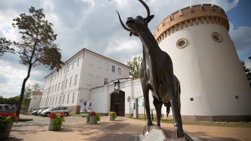 Tauragė region museum "Santaka"